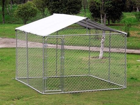 Chain Link Dog Cage