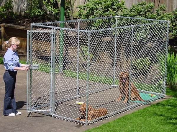 Chain Link Dog Cage