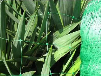 Hot Sale Vegetable Support Net Factory
