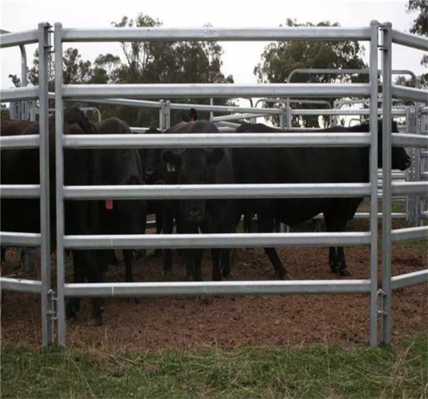 Horse Cow Sheep Fence Panels For Sale