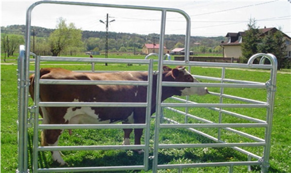 Heavy Duty Livestock Cattle Panel 