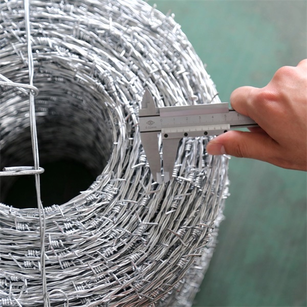 wholesale Hot Dipped Galvanized Barbed Wire
