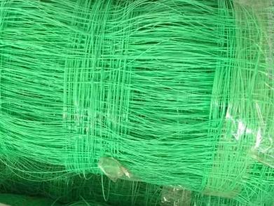 Protect Your Plant With Plant Support Netting