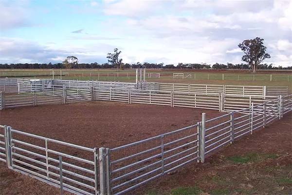 Galvanized Corral goat & sheep Panel