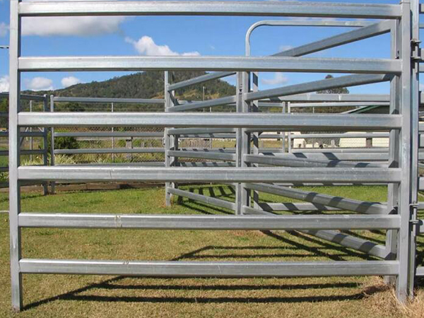 Cattle Panel