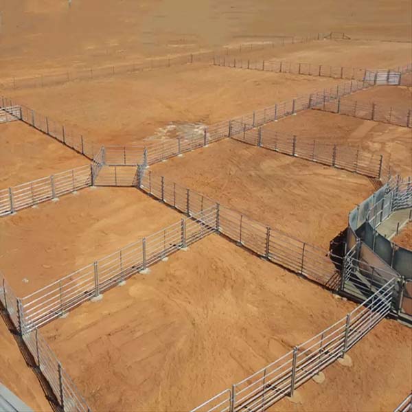 Factory cattle field fence for animal 