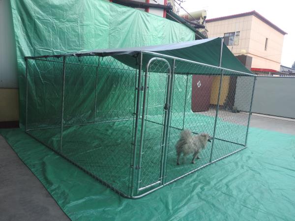  Galvanized Outside Chain Link Dog kennel Cage
