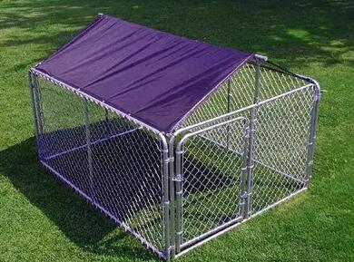 Outside Used Chain Link Dog Cage Feature