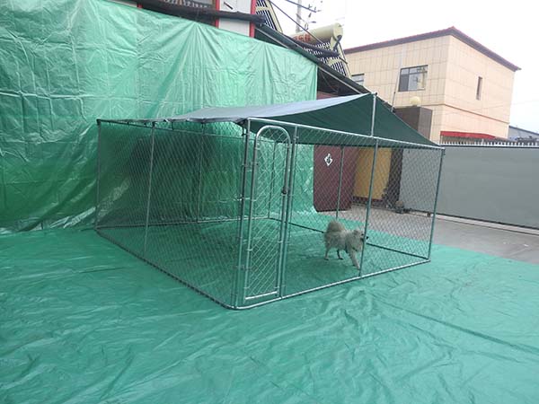 Factory galvanized outside Chain Link Dog Cage